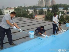 屋面专用防水涂料怎么选	(屋面防水材料用啥效果好,价格低?)