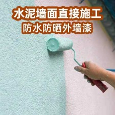 防水涂料可以涂墙面吗	(防水涂料能直接刷在有涂料的墙面吗)