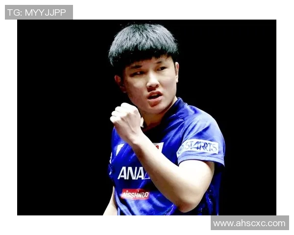 深圳乒乓球队总决赛表现分析：个人能力与团队协作的完美结合