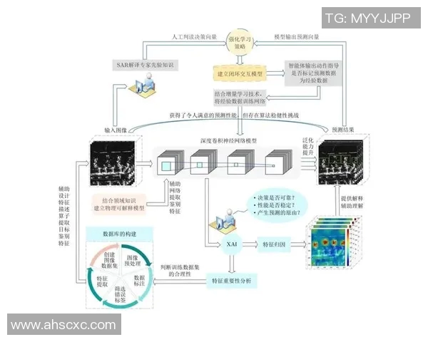 深圳乒乓球队攻势创新之路探索与实践的深度剖析与展望