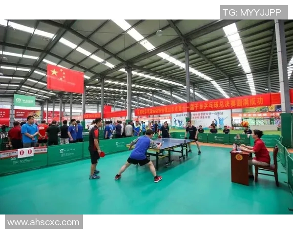 深圳乒乓球队的灵活性探索与发展：从训练到比赛的全方位分析