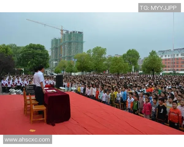 深圳乒乓球队的辉煌征程与突破成就全景回顾 深圳乒乓球队的辉煌征程与突破成就全景回顾
