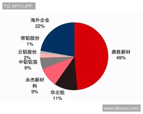 深圳乒乓球队的速度之美与技术探秘全景解析 深圳乒乓球队的速度之美与技术探秘全景解析